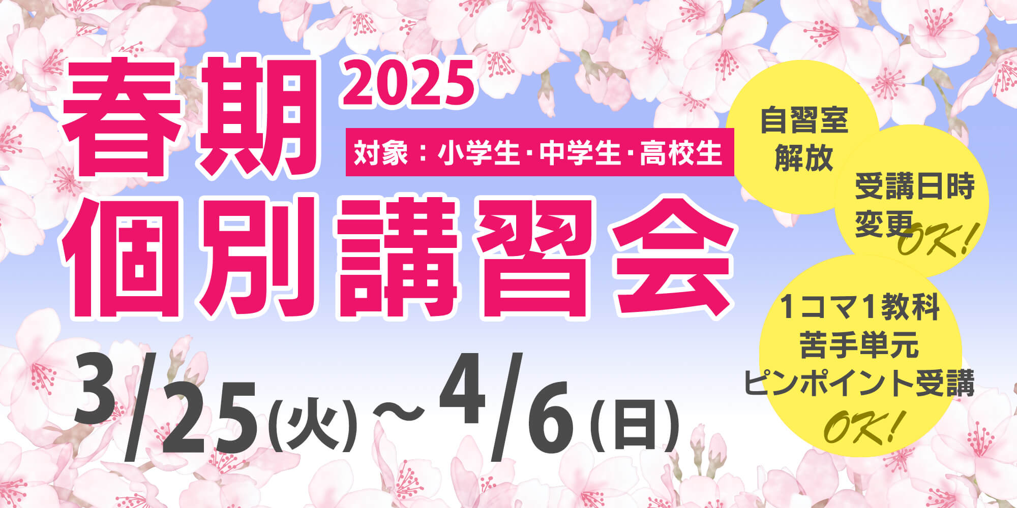 春期個別講習会